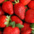 Strawberries found to reduce inflammation and prevent cognitive decline