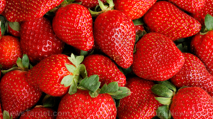 Strawberries found to reduce inflammation and prevent cognitive decline