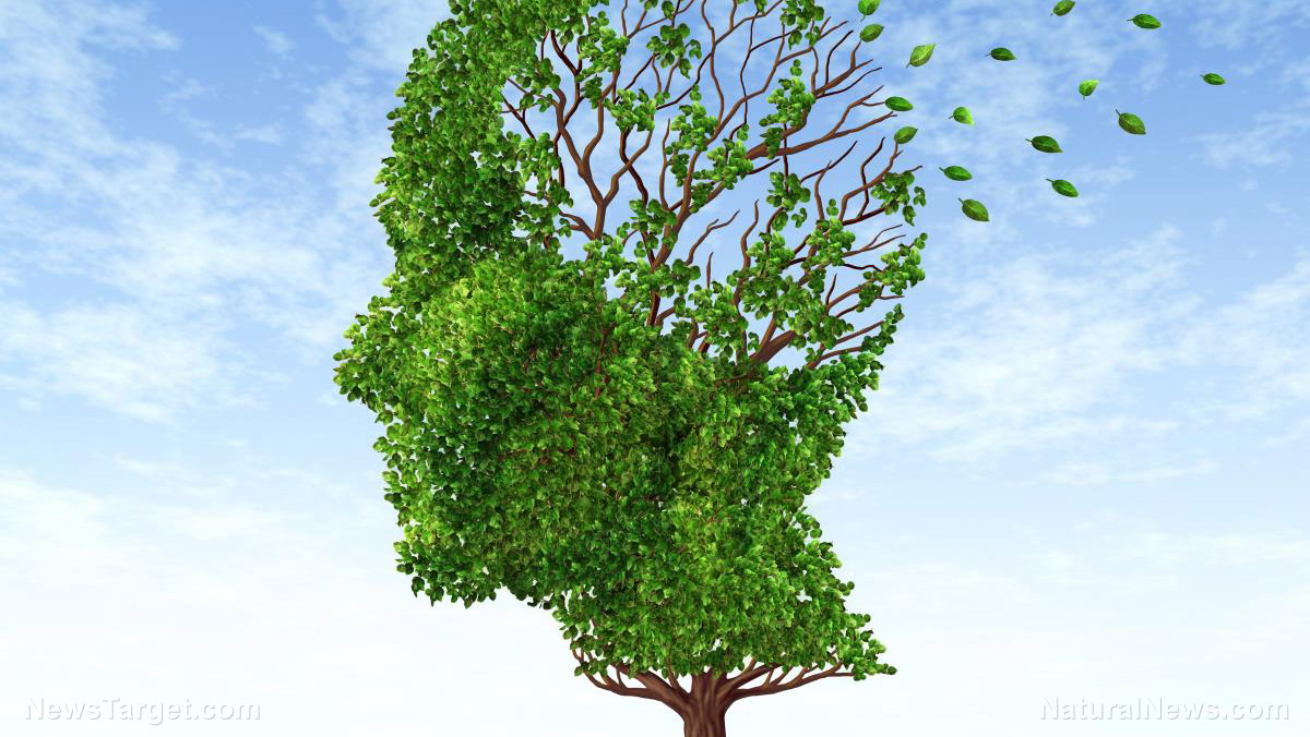 One of nature’s best kept secrets: Elya leaves reduce brain damage linked to Alzheimer’s