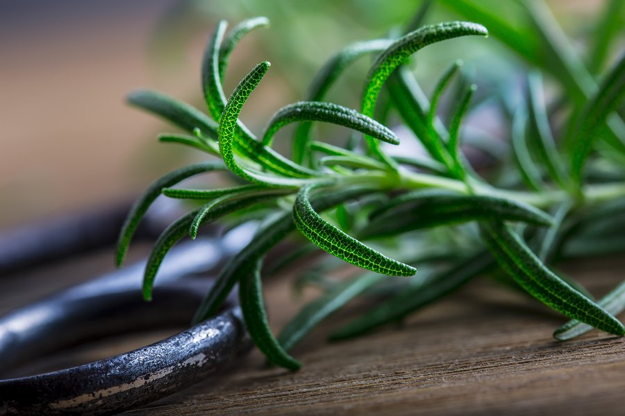 Can Rosemary Really Improve Your Memory?