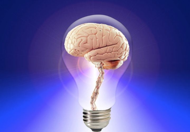 Brain Supplements – Do They Really Work?