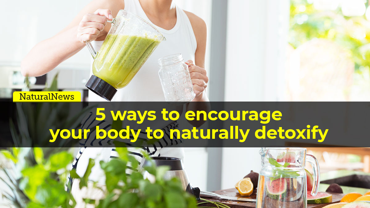 5 ways to encourage your body to naturally detoxify