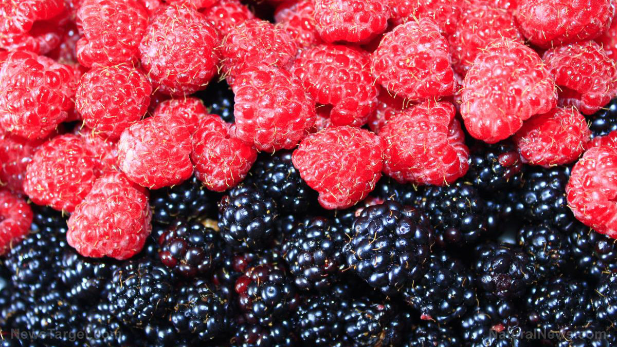 Here are the healthiest fruits you can eat