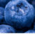 Recent research confirms the highbush variety of blueberries contains potent antibacterial and anti-inflammatory properties