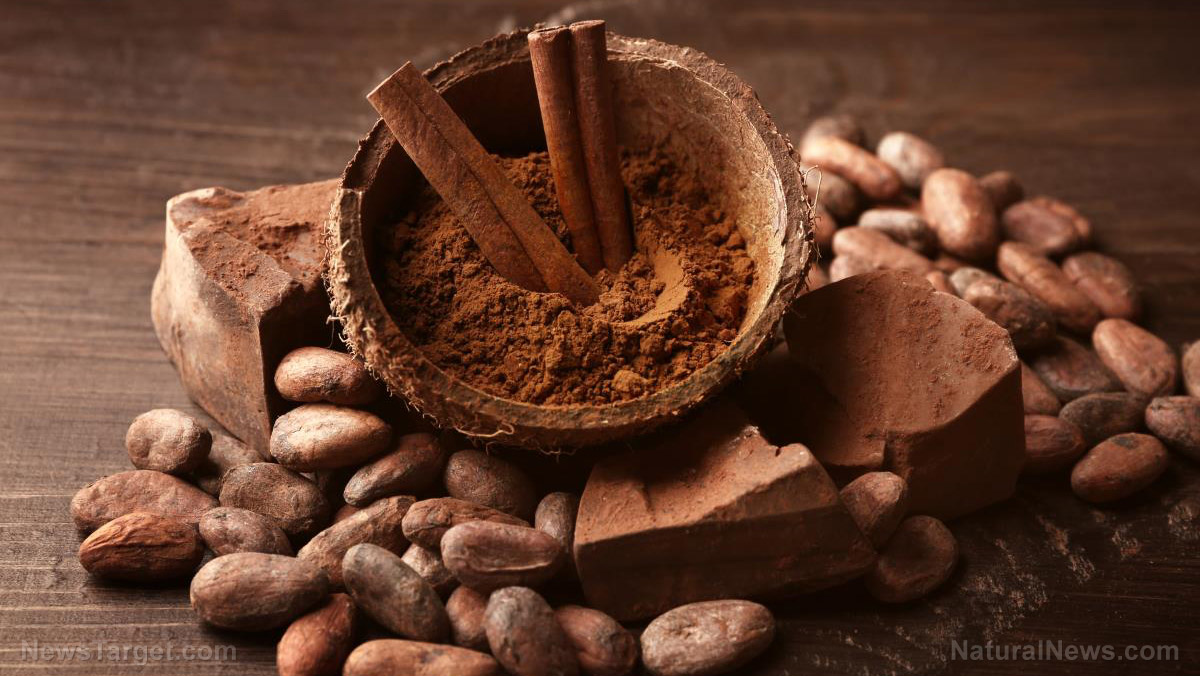 Cocoa found to have a powerful inhibitory effect on influenza virus infections