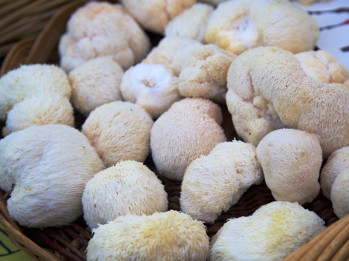 Why You Should Try Lion’s Mane Mushroom, The Brain-Boosting Superfood That Fights Menopausal Anxiety