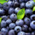 Blueberries are bursting with various antioxidants that reduce the risk of dementia