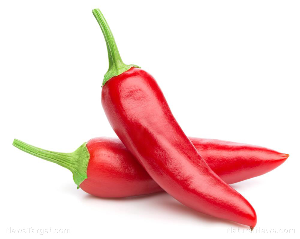 Cayenne peppers are medicinal powerhouses that deserve a spot in your emergency medical kit