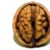 A nutty solution for improving brain health