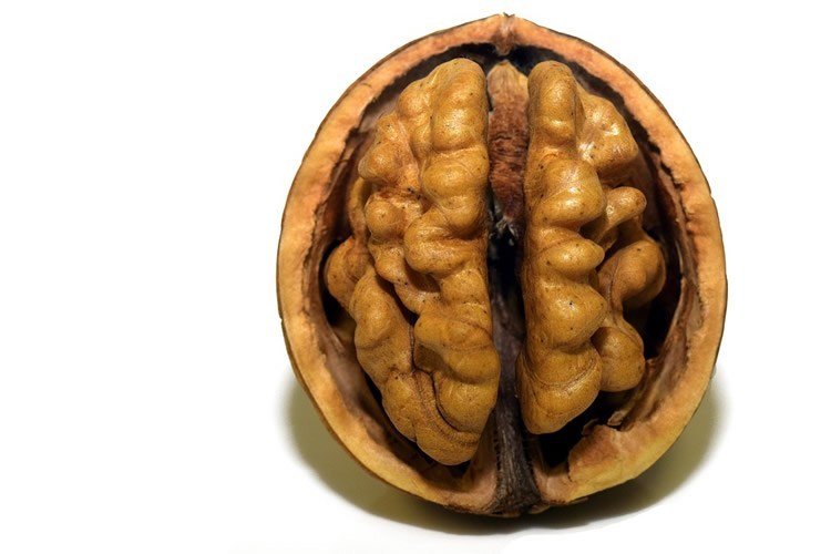 A nutty solution for improving brain health