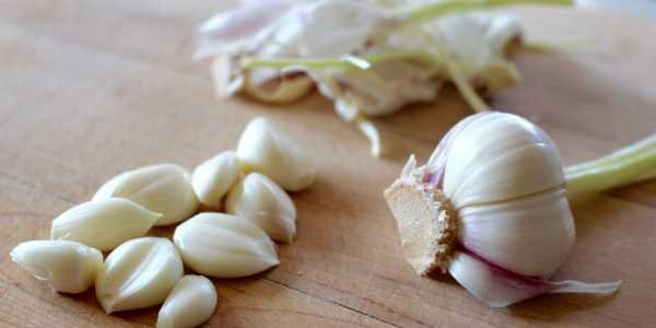 Eating raw garlic helps prevent age-related memory loss