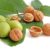 The nutritional content and health benefits of pecans and walnuts