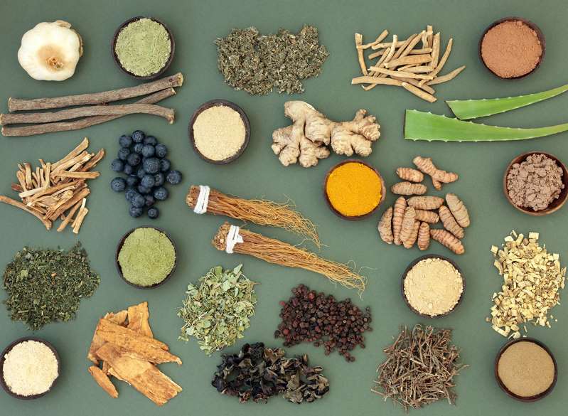 The Medicinal Plants and Adaptogens You Should Be Eating