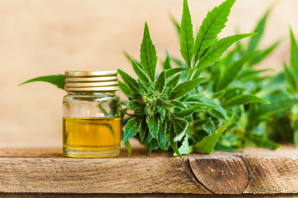Many millennials prefer natural medicine: “The most anxious generation” is getting anxiety relief from CBD oil