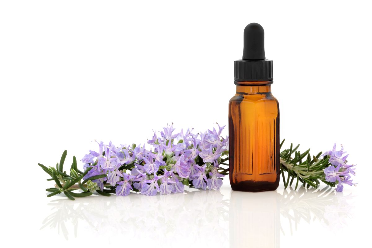 Delightful ways to benefit from wonder essential oil – Rosemary