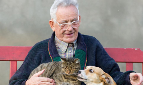 Pets may help older adults manage chronic pain