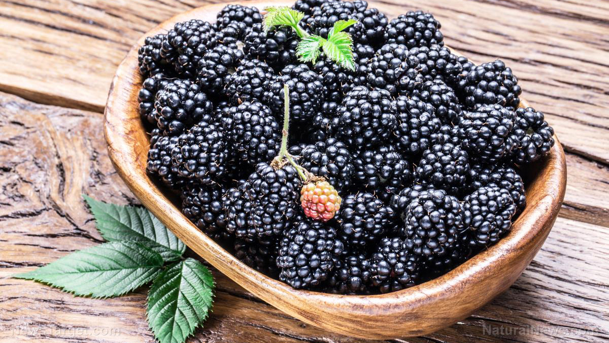 Rich in health benefits, enjoy blackberries all year