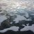 Magnet and Neuron Model Also Predicts Arctic Sea Ice Melt