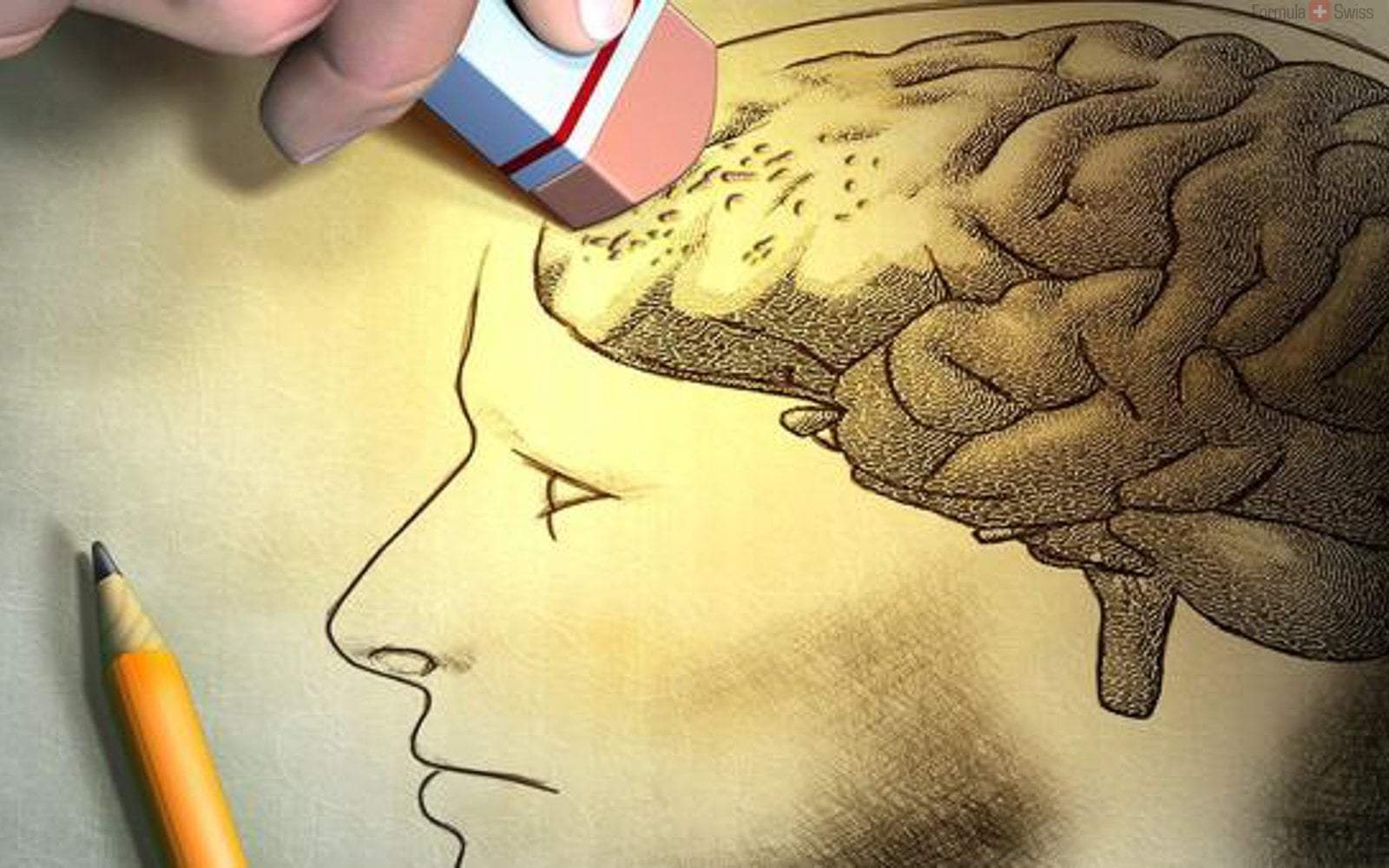 The Best Natural Ways to Keep Your Brain from Alzheimer’s