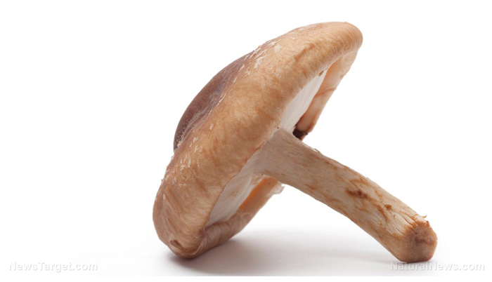 Mushrooms Boost Brain Health: Eat Them Twice A Week To Prevent Dementia