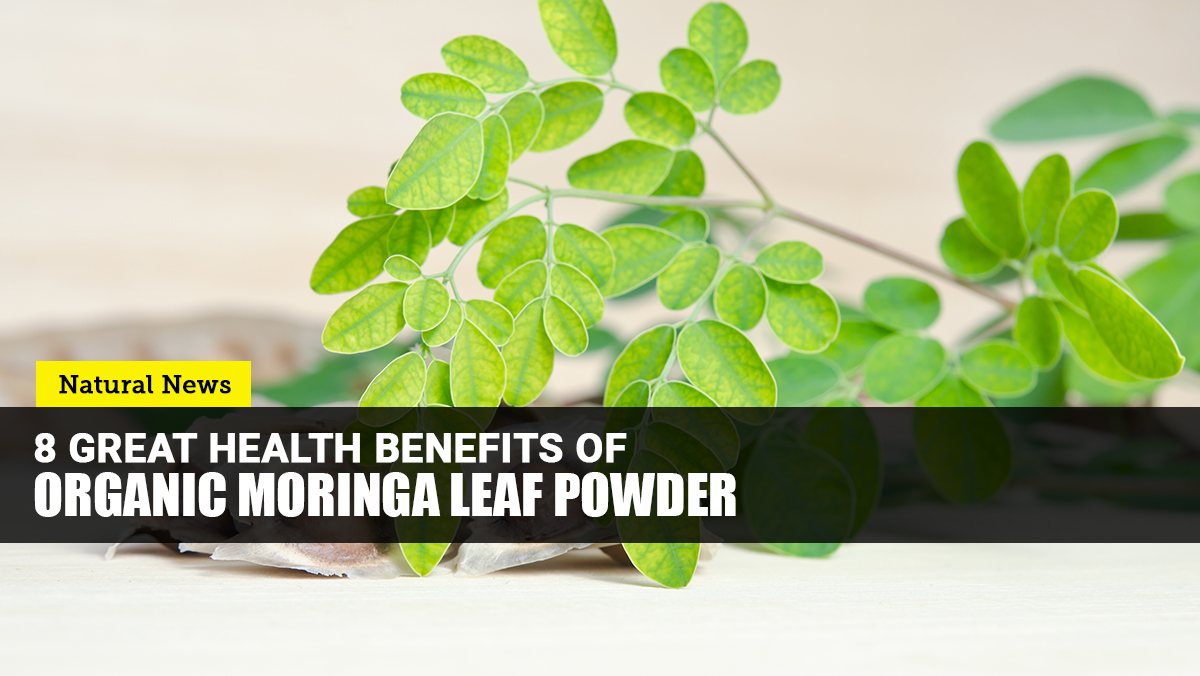 Add organic MORINGA leaf powder to your daily routine to promote your overall health