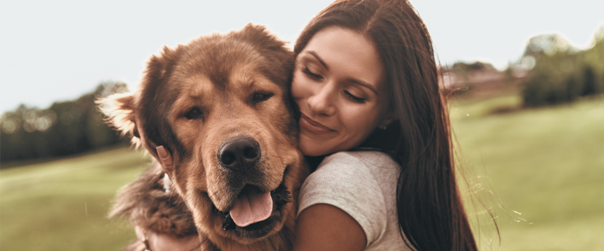 CBD Oil for Dogs: Everything You Need To Know