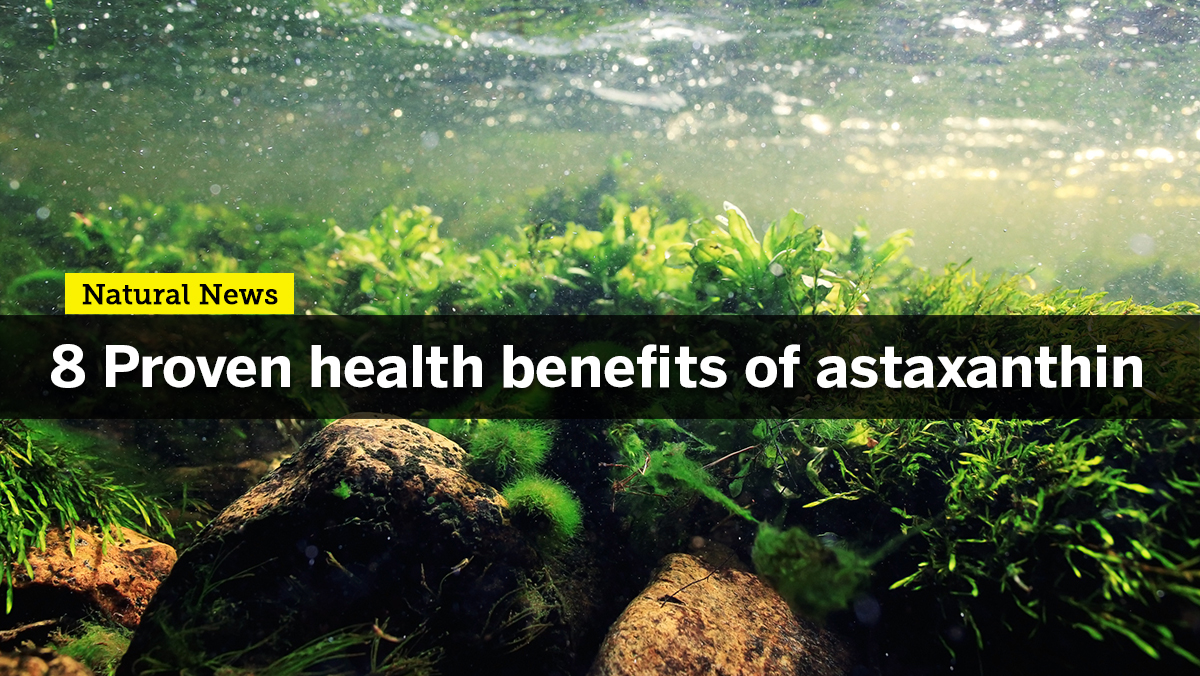 Enhance your strength and stamina with Astaxanthin, one of nature’s most potent antioxidants