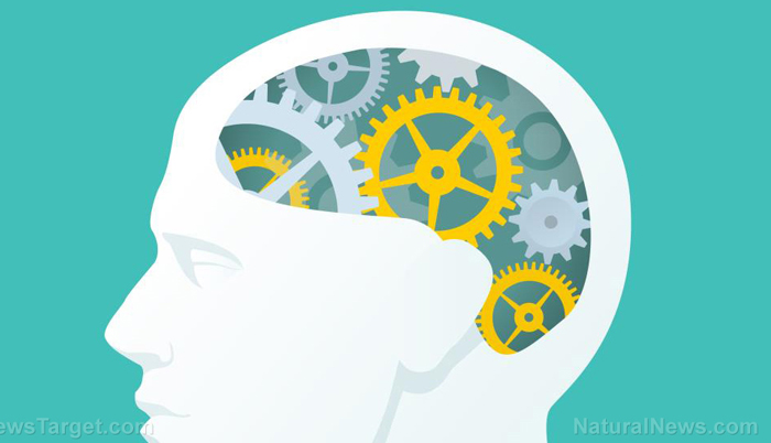 Nootropics: Not Just A Fancy Way Of Saying Brain Vitamins