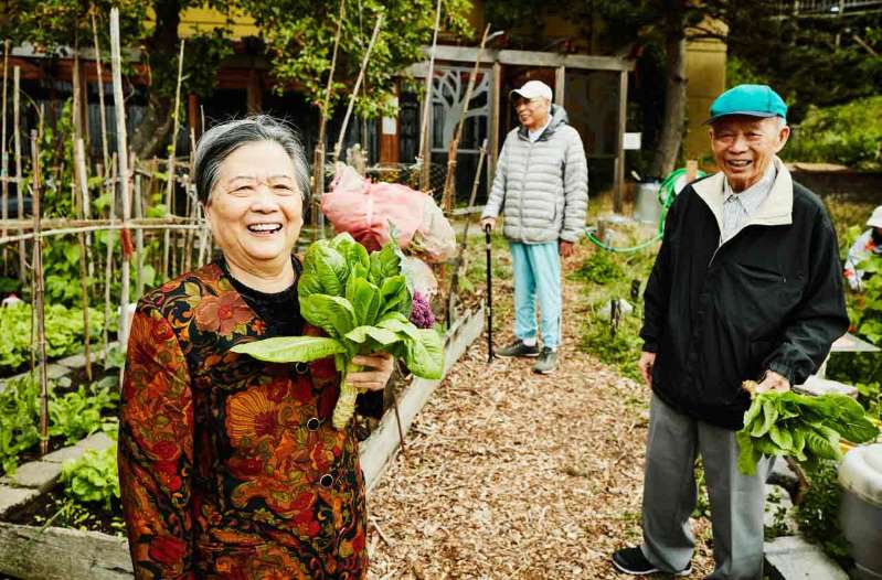 The Surprising Benefits of Gardening in Retirement