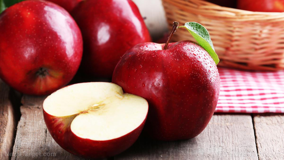 Can nutrients from apples help with stem cell therapy?
