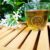 5 Health-Boosting Benefits of Green Tea