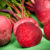 Sliced or diced, they’re good for you: 10 Health benefits of beets