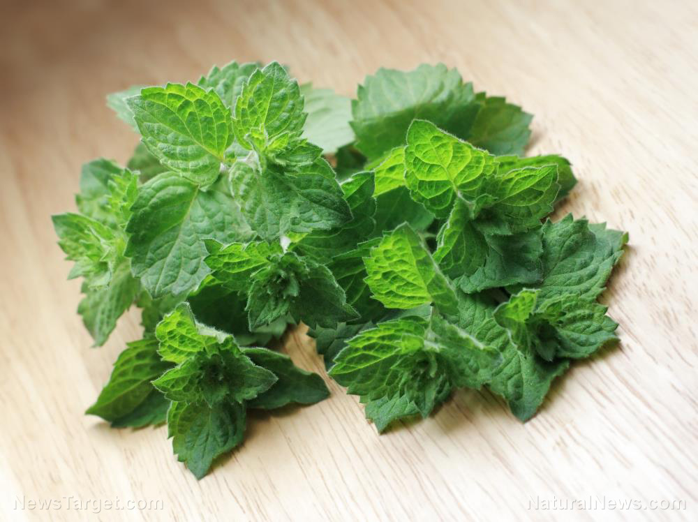Spearmint is a cool way to boost your cognitive focus and attention