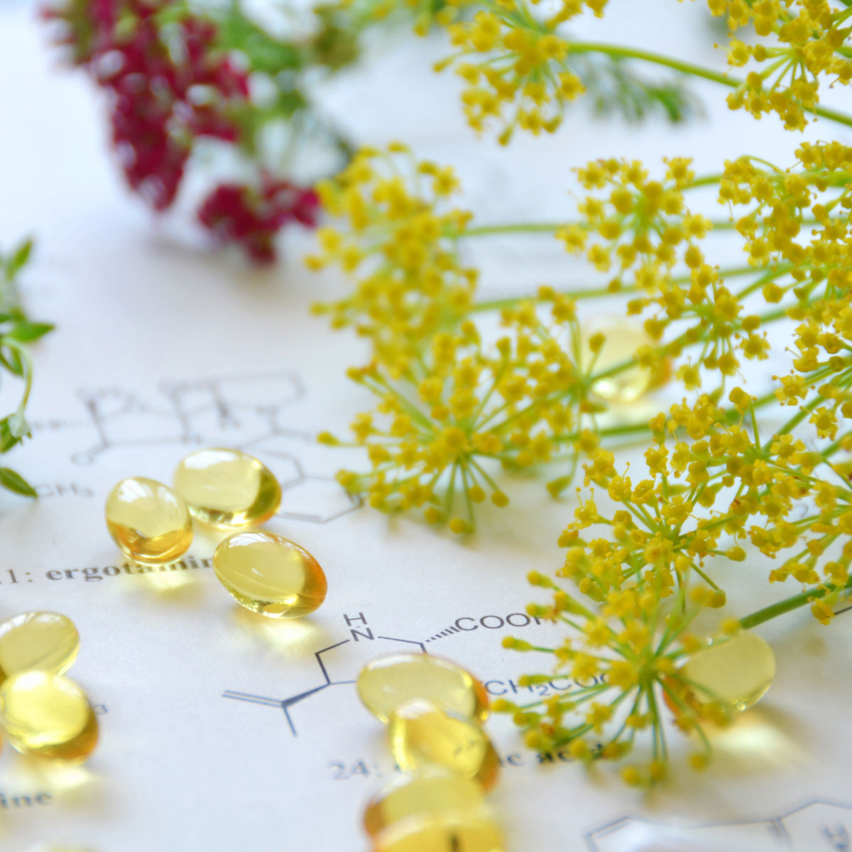 Your A-Z Guide to Herbs for Better Health