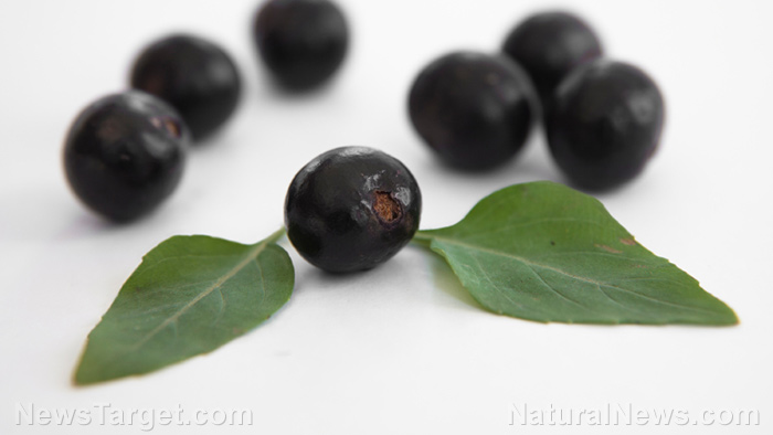 5 Health benefits of acai berry that make it a real superfood