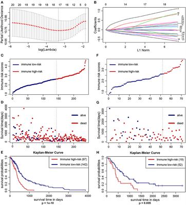Development of an Immune Infiltration-Related Prognostic Scoring System Based on the Genomic Landscape Analysis of Glioblastoma Multiforme