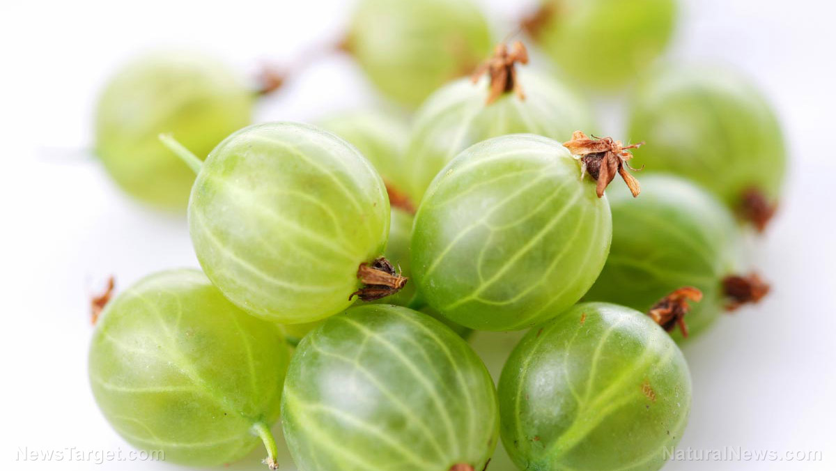 Antioxidants in Indian gooseberry help maintain cardiovascular health and boost immunity