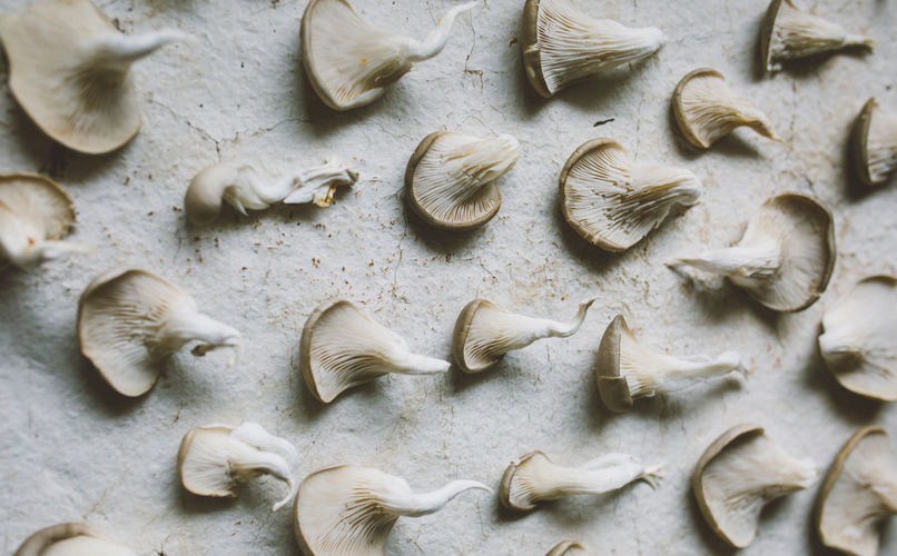 6 Reasons To Add Medicinal Mushrooms To Your Diet
