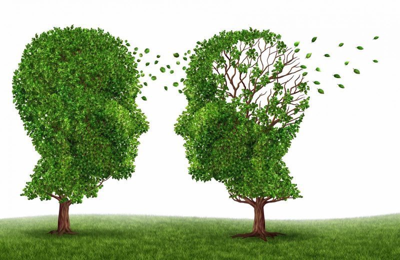 Top 7 Effective Natural Treatments for Alzheimer Disease