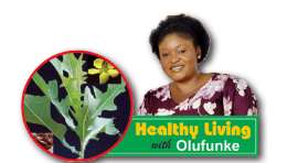 Take advantage of the health benefits of iyere (piper guineense)