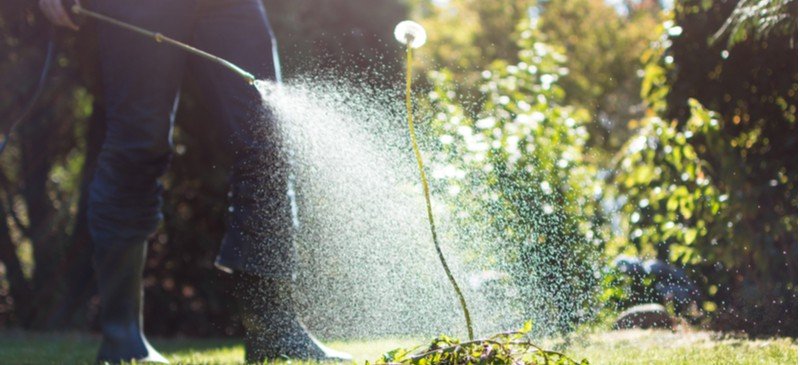 Glyphosate Toxicity Alert: How America’s #1 Weedkiller Tricks Your Body Into Absorbing It