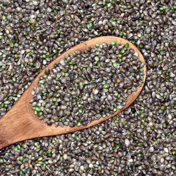 What are the benefits of eating cannabis seeds?
