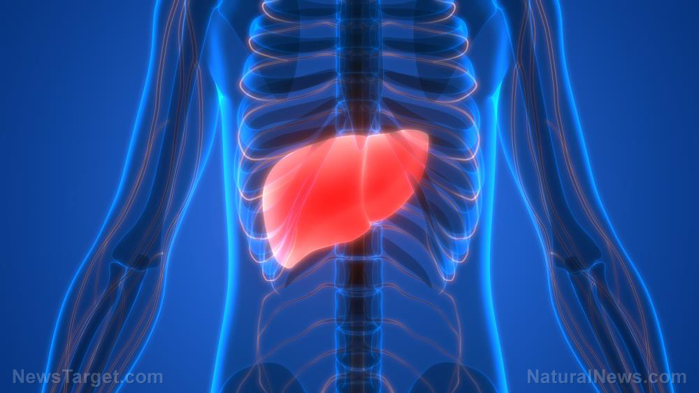 Adequate glutathione intake found to boost liver health