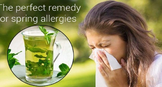 Pudina for spring allergies: 10 reasons why you must include it in your diet now