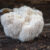 Supporting brain health: Lion’s mane mushroom helps reduce depression and anxiety
