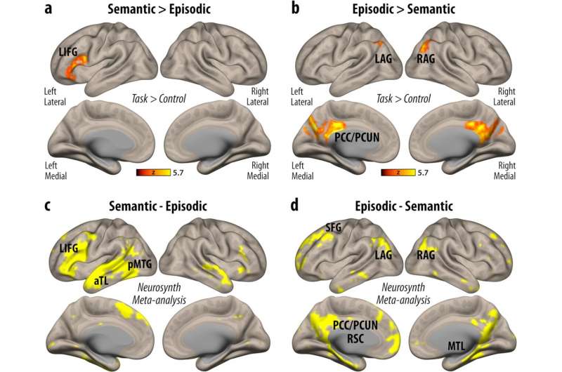 Knowing how the brain retrieves facts may help people with memory disorders