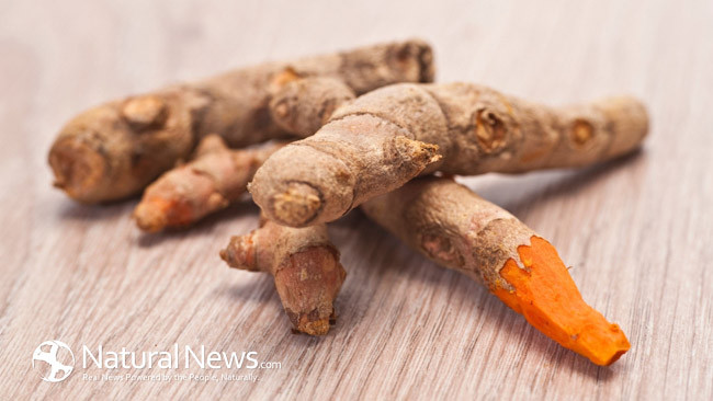 Research explores the many health benefits of curcumin