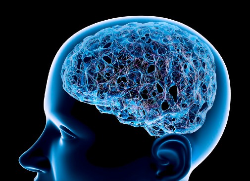 New study showing how brain retrieves facts and personal experiences may help people with memory disorders