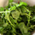 The tangy, peppery superfood: 7 Reasons to eat more arugula