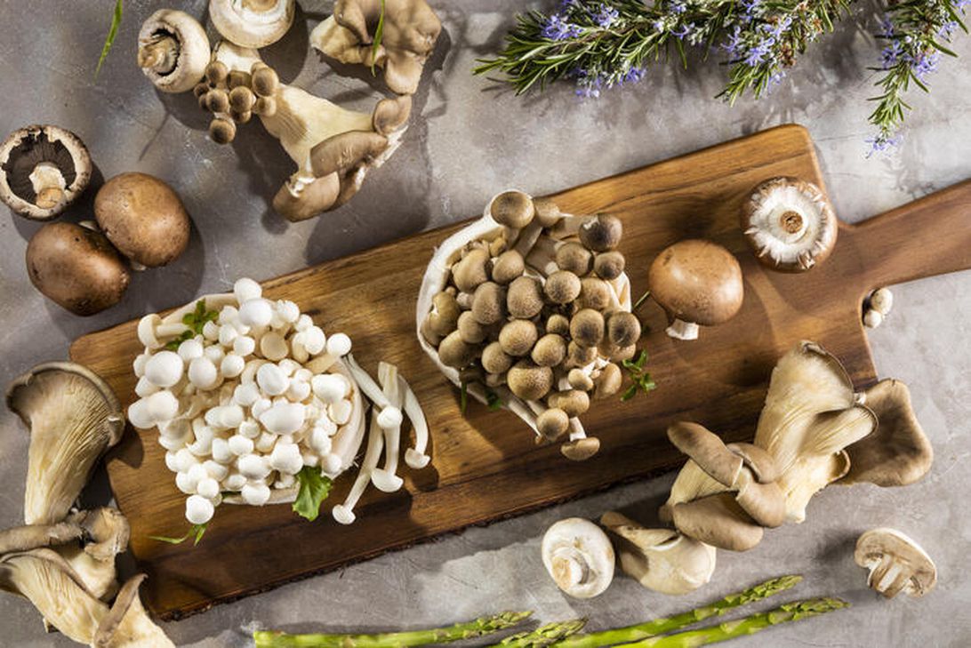 Do medicinal mushrooms really work? What you need to know about lion's mane, reishi and more